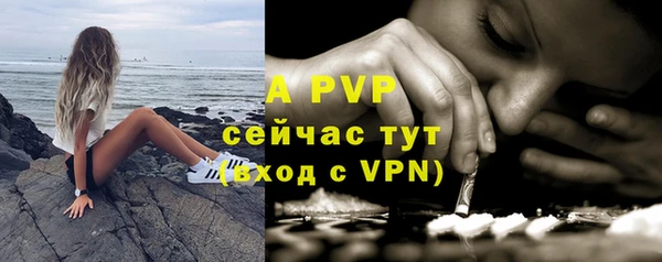 прущий лед Богданович