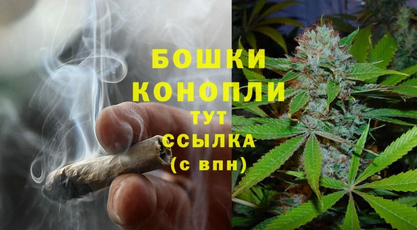 прущий лед Богданович