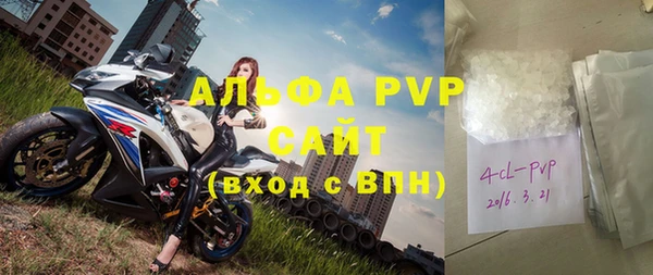 прущий лед Богданович