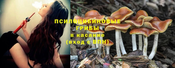 ALPHA-PVP Богородск