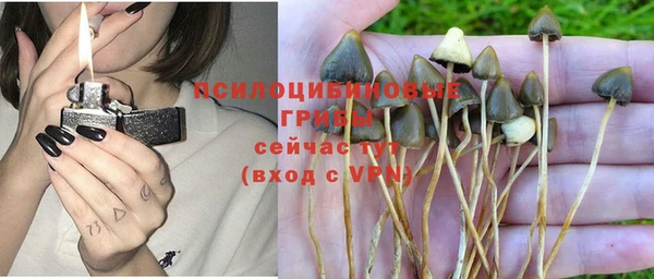 прущий лед Богданович