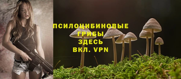 ALPHA-PVP Богородск